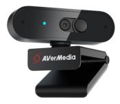 Webcam AVerMedia PW310P