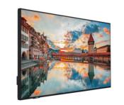 VESTEL PN50D 50" Dalle IPS 500cd/m² 